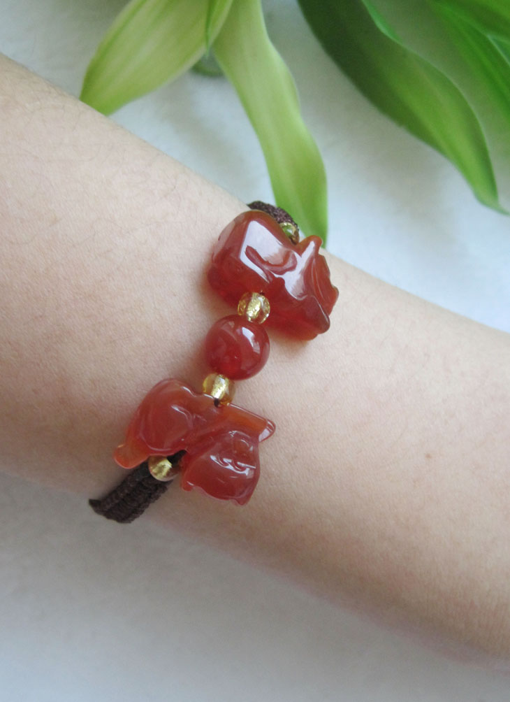 �������� ��Ե������ʷ����� 2017���������˼����� �ؼ�-��2�Ŵ�ͼ